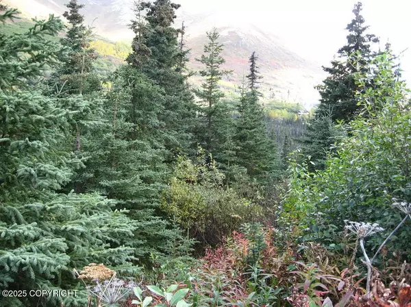 L1 West River DR, Eagle River, AK 99577