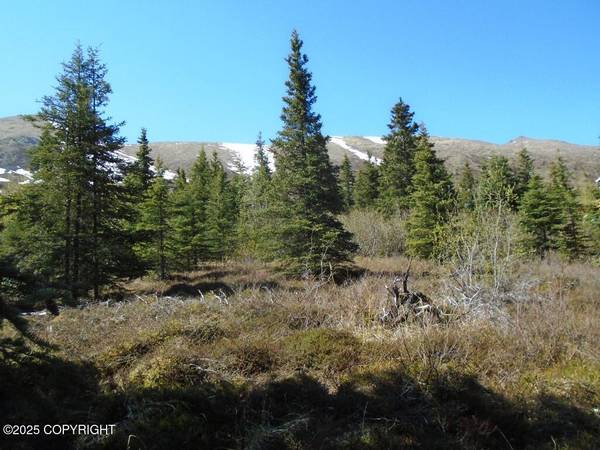 Lot 2 West River DR, Eagle River, AK 99577