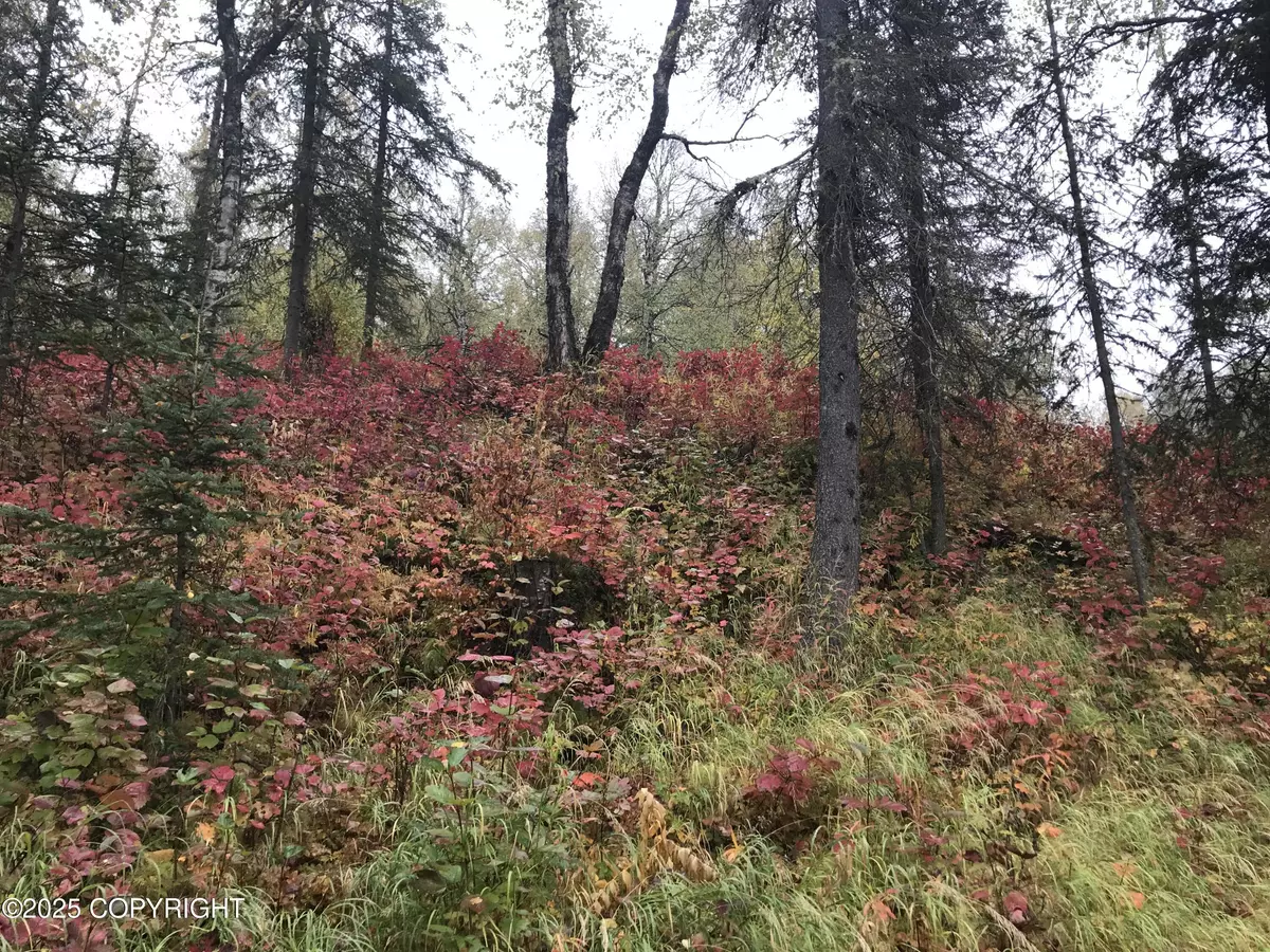 Sutton, AK 99674,17738 E Miners AVE