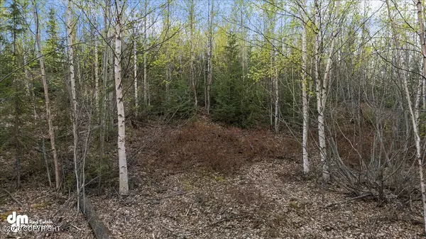 Wasilla, AK 99654,638 S Harlindon Dale CIR