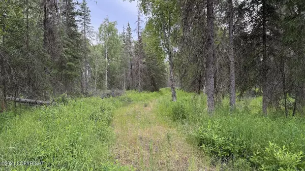 Nikiski/north Kenai, AK 99635,47751 Gillnet AVE