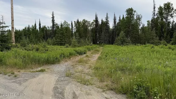 Nikiski/north Kenai, AK 99635,47751 Gillnet AVE