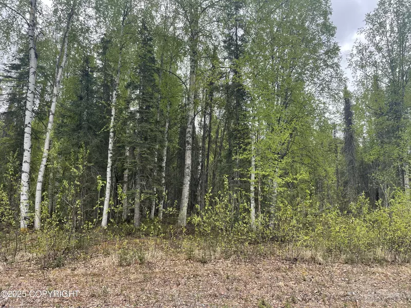 14968 Gyrfalcon DR, Willow, AK 99688