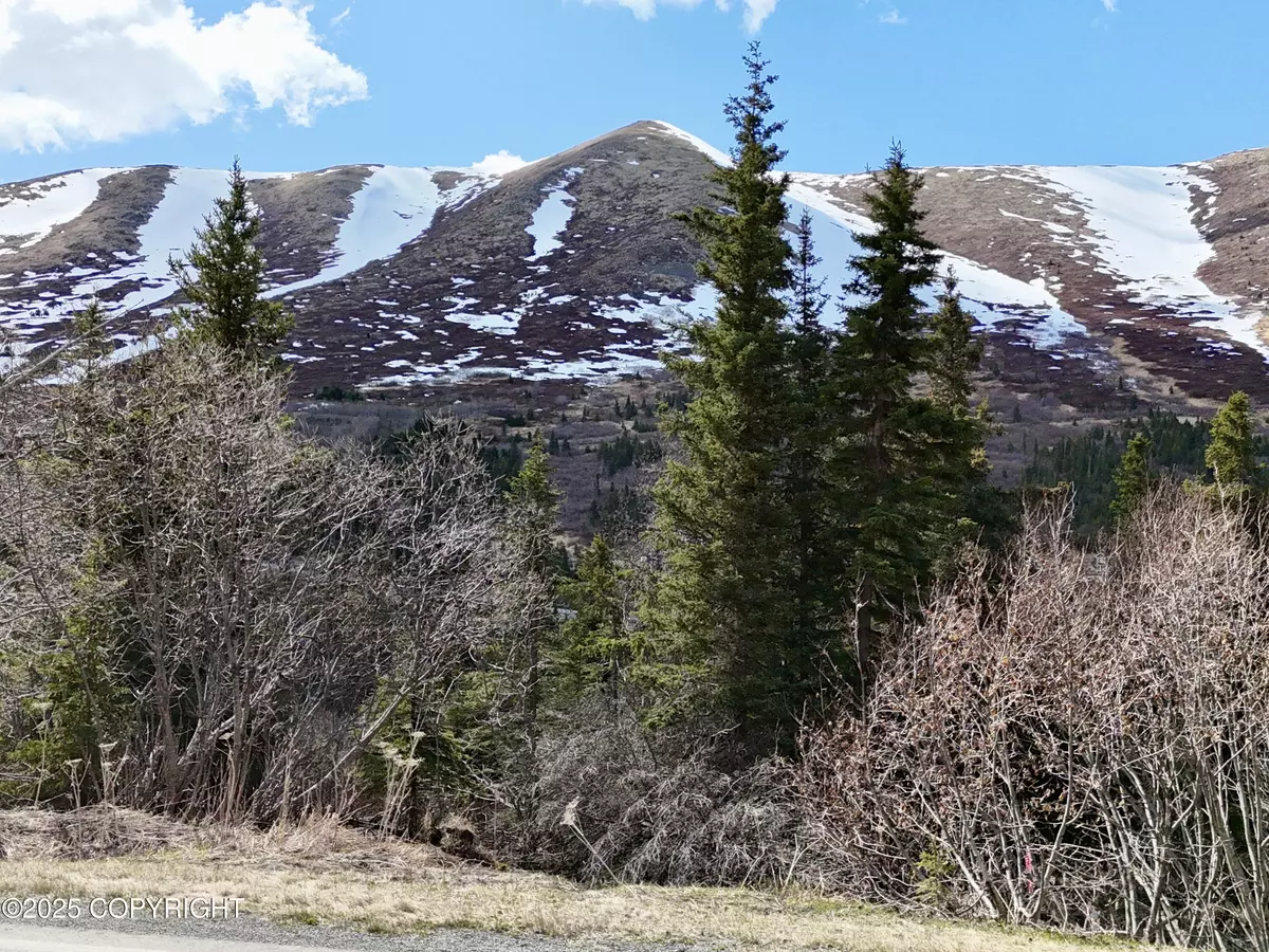 Eagle River, AK 99577,Mile 6.6 Hiland RD