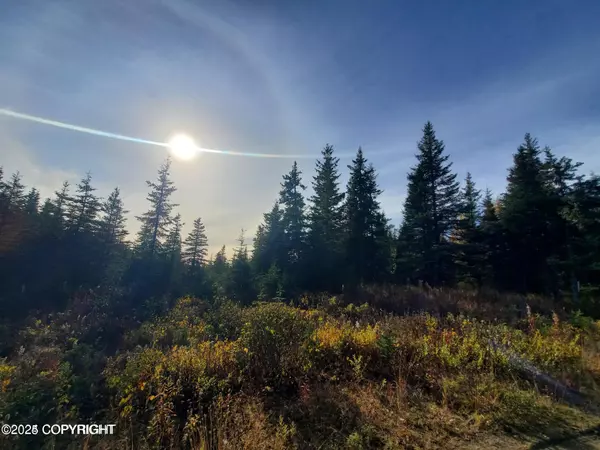 Ninilchik, AK 99639,67050 Homestead RD