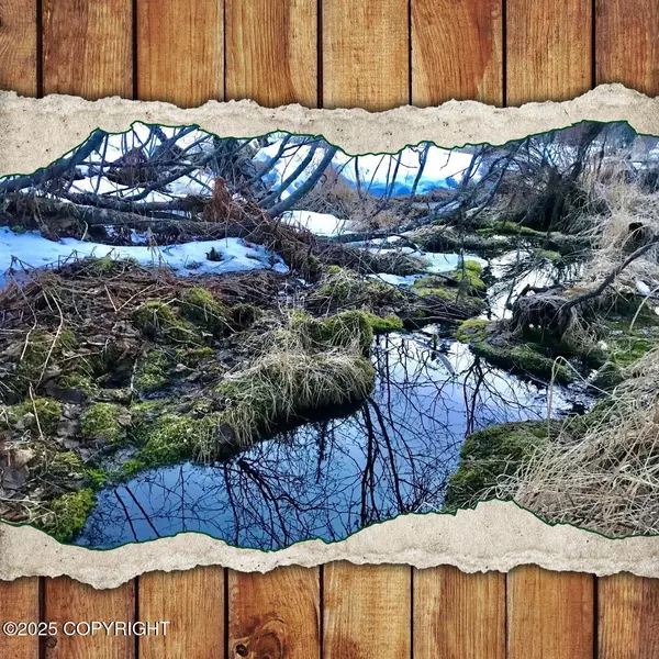 14235 Caribou Hills Rem, Ninilchik, AK 99639