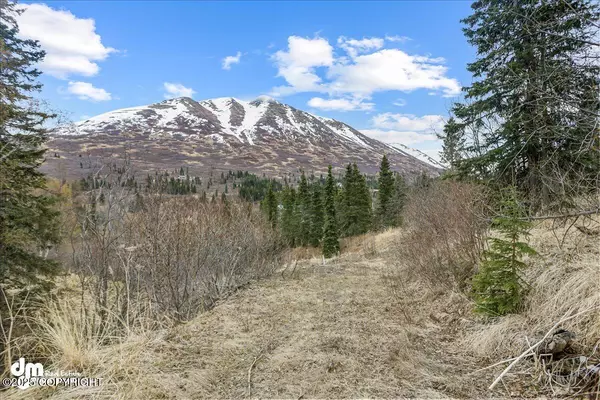 Eagle River, AK 99577,4729 Birdsong DR