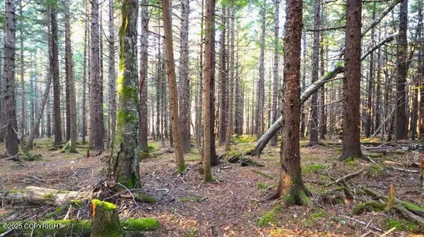 Haines, AK 99827,000 Alder CT