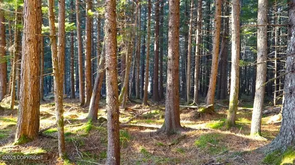 Haines, AK 99827,000 Alder CT