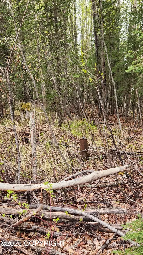 Soldotna, AK 99669,710 Griffin AVE