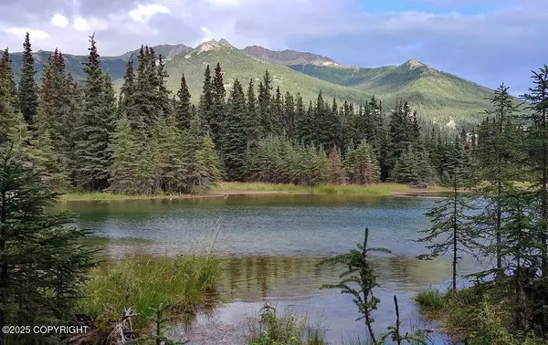 36454 Cozy Firelight ST, Sterling, AK 99672