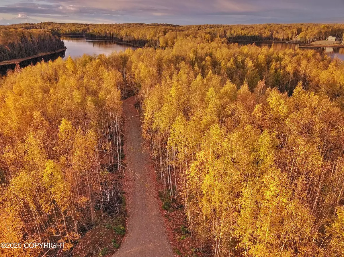 Willow, AK 99688,Unit 1 N Red Shirt DR