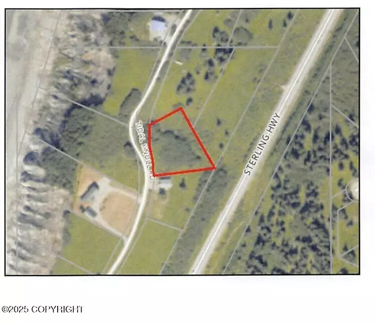 Ninilchik, AK 99639,17338 Tidal Knoll DR