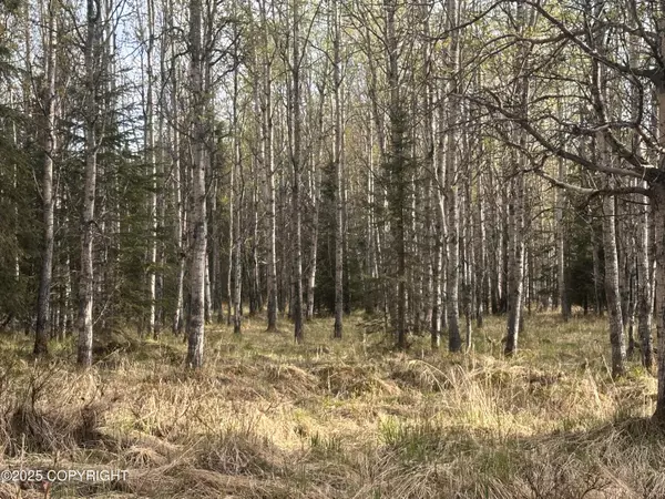 Soldotna, AK 99669,Tract 2-B Funny River RD