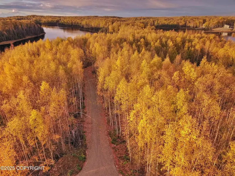 Unit 7 N Red Shirt DR, Willow, AK 99688