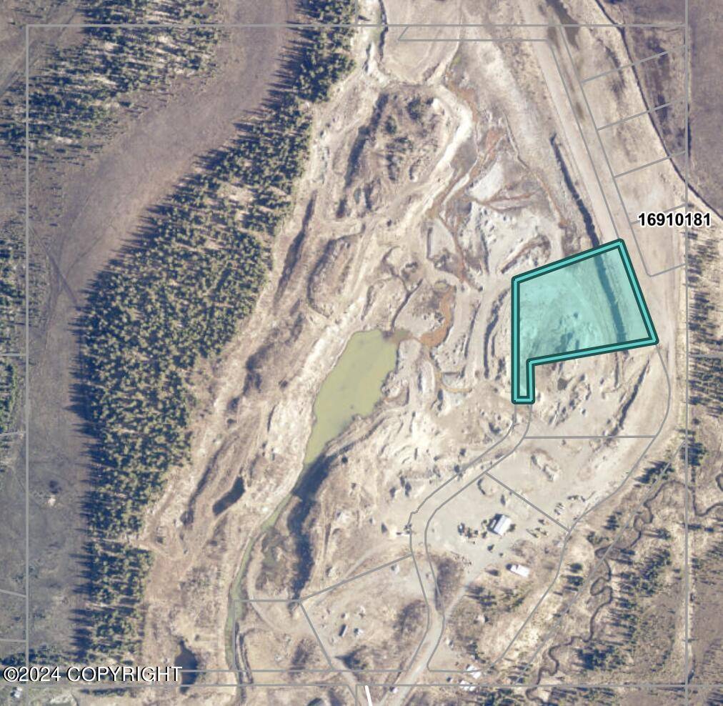 Anchor Point, AK 99556,L6 Brow Tine RD
