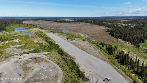 Anchor Point, AK 99556,L6 Brow Tine RD