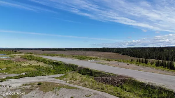 L7 Brow Tine RD, Anchor Point, AK 99556