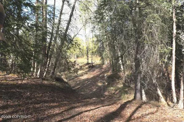 Slana, AK 99573,60.5 Tok Cut Off HWY