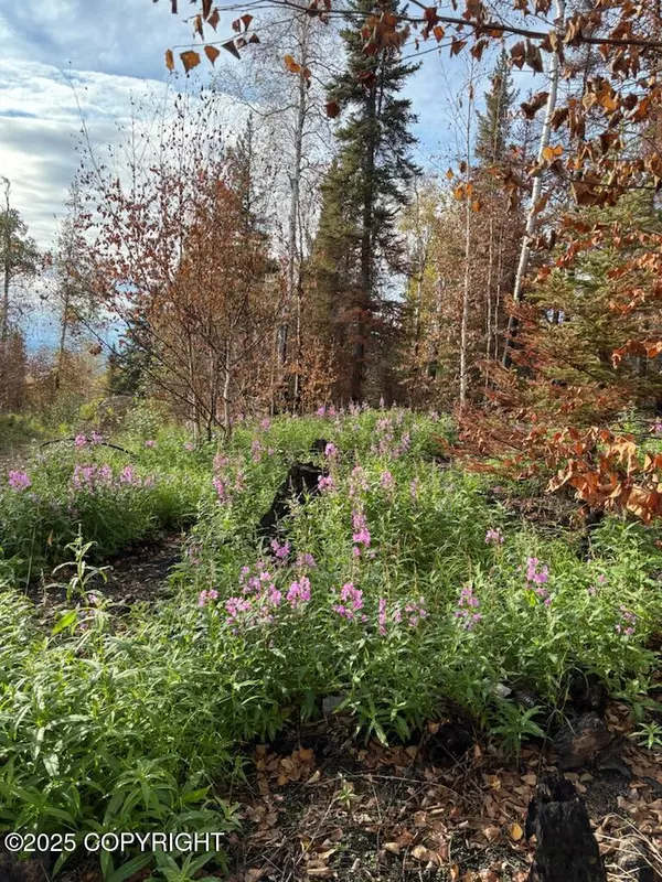 Lot 3 Nenana Valley View, Nenana, AK 99760