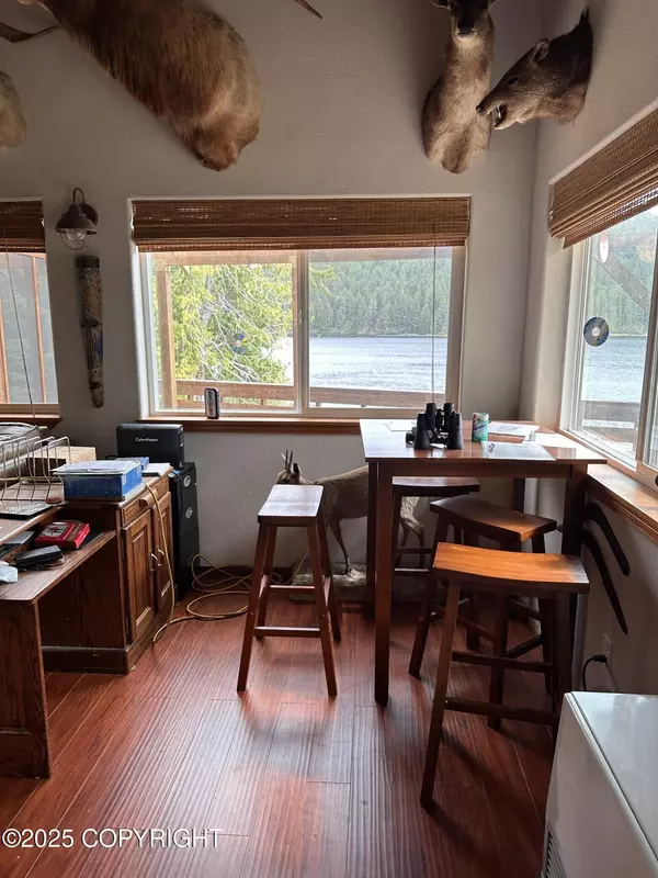 Thorne Bay, AK 99919,L45A South Tongass