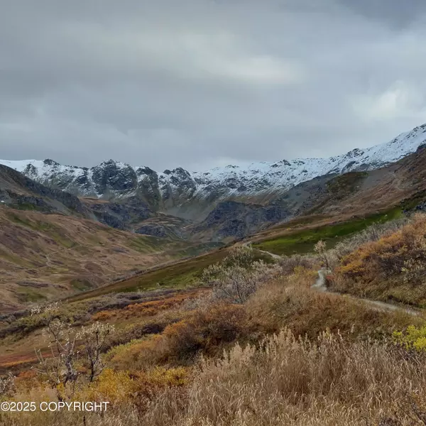 Mile 18 Willow-Fishhook RD, Willow, AK 99688