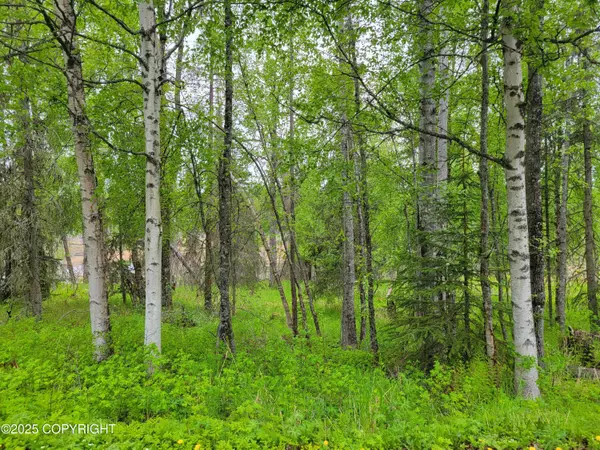 Nikiski/north Kenai, AK 99635,47847 Baranoff DR