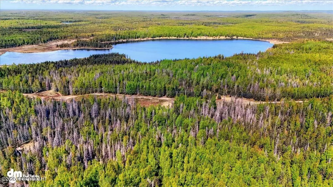 L15 Moosetadon DR, Sterling, AK 99669