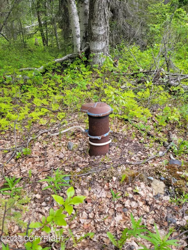Nikiski/north Kenai, AK 99635,51090 Pipeline RD