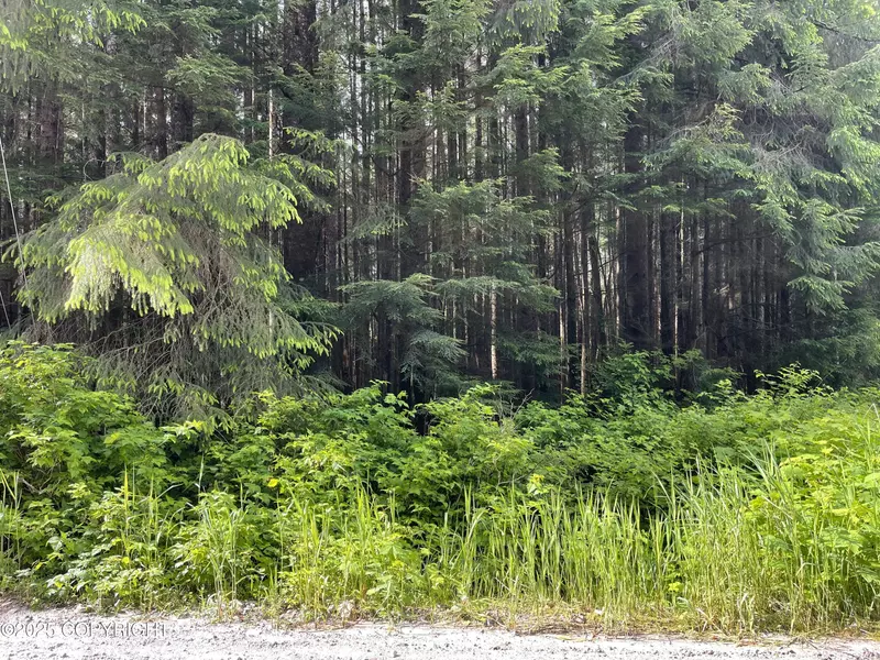 L5B4 Hucklebery DR, Naukati Bay, AK 99000