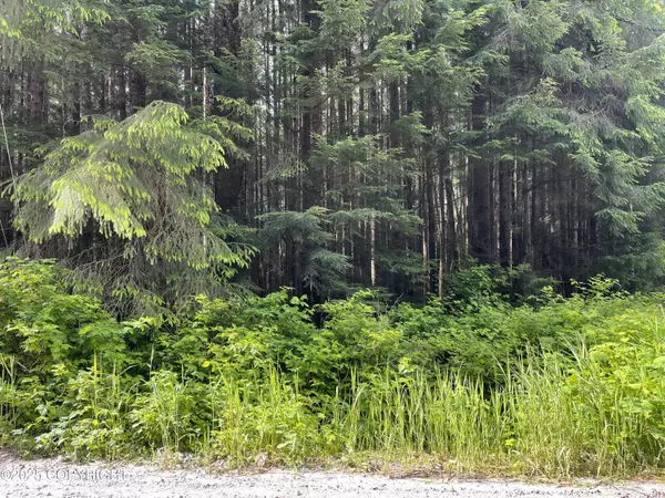 L5B4 Hucklebery DR, Naukati Bay, AK 99000