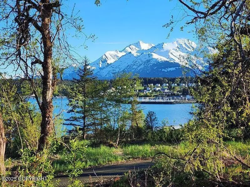Lot 7 Barnett ST, Haines, AK 99827