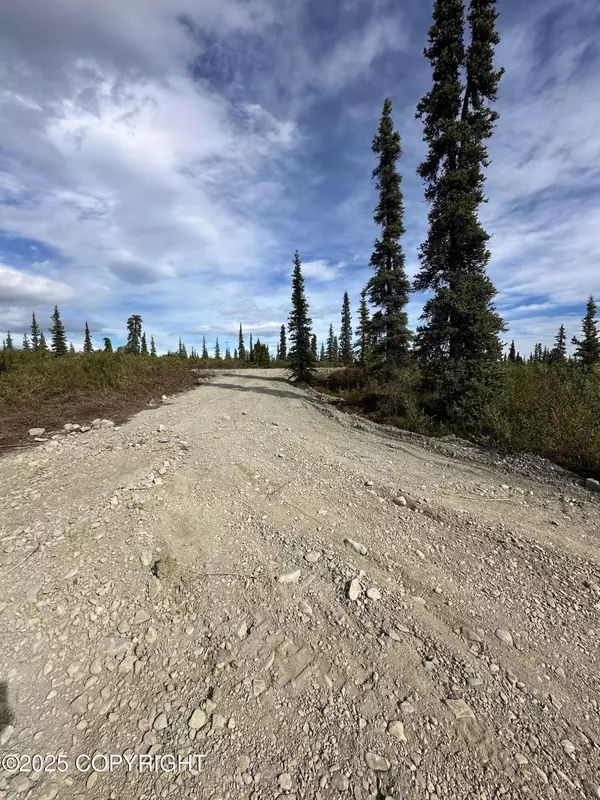 Chickaloon, AK 99674,49662 S Timberwolf RD