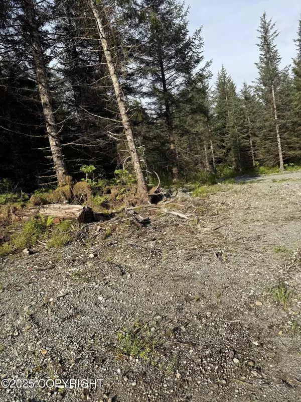 Yakutat, AK 99689,372 Cedar ST