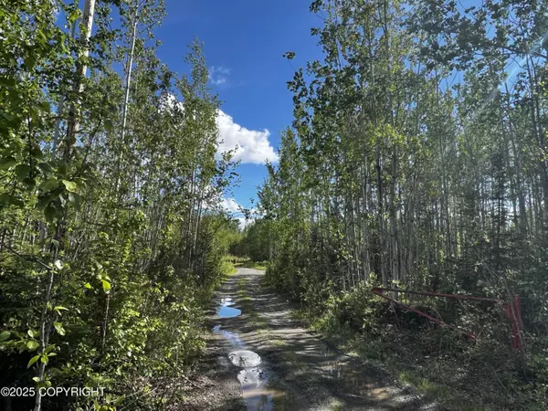 13468 W Cherrywood DR, Big Lake, AK 99652