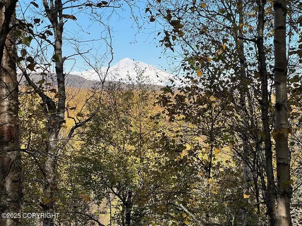 27460 S Baldy Bluff DR, Talkeetna, AK 99676