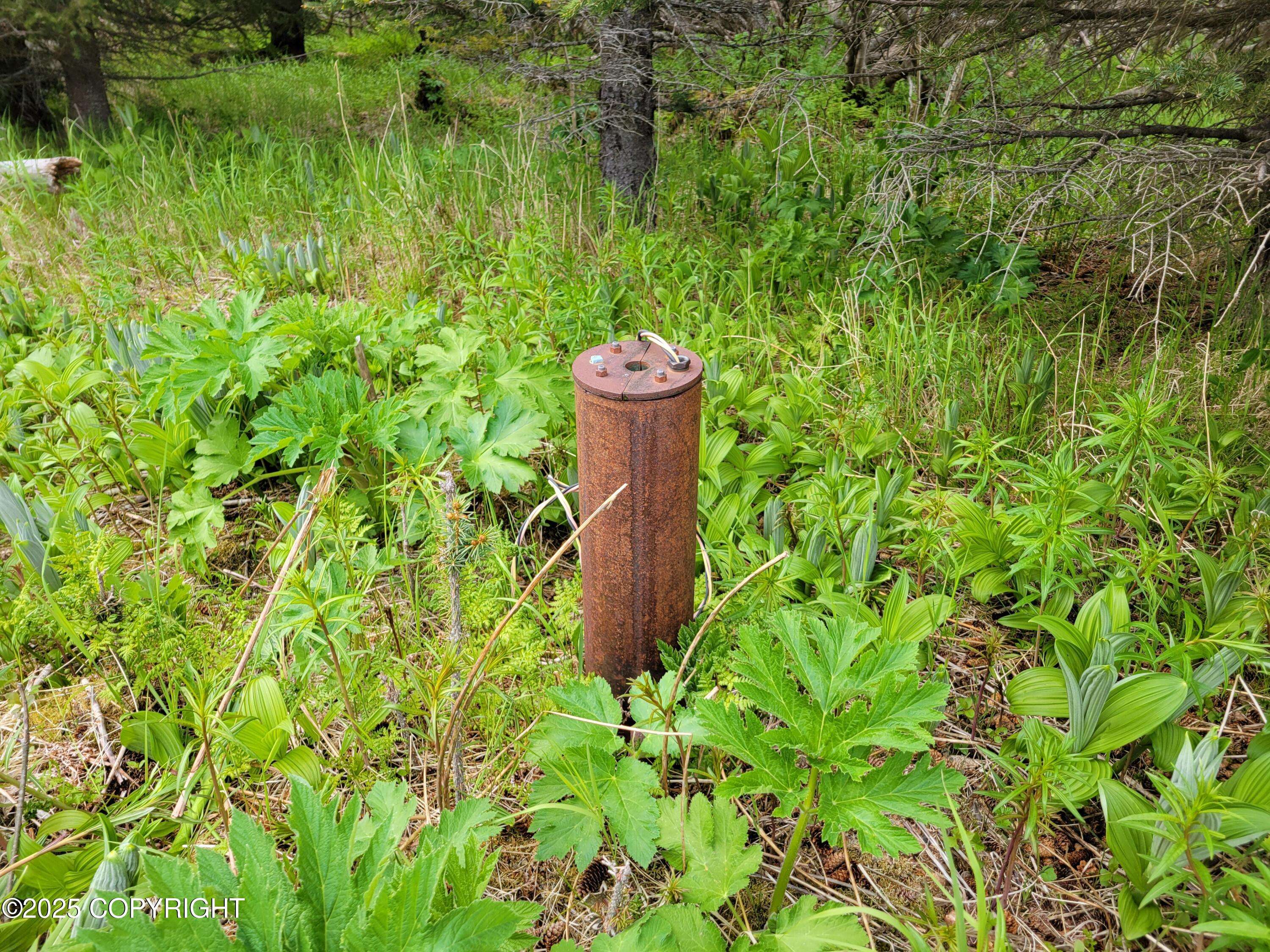 Homer, AK 99603,40170 Talley ST