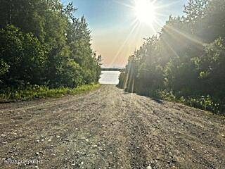 Nikiski/north Kenai, AK 99635,L 8 Wapiti