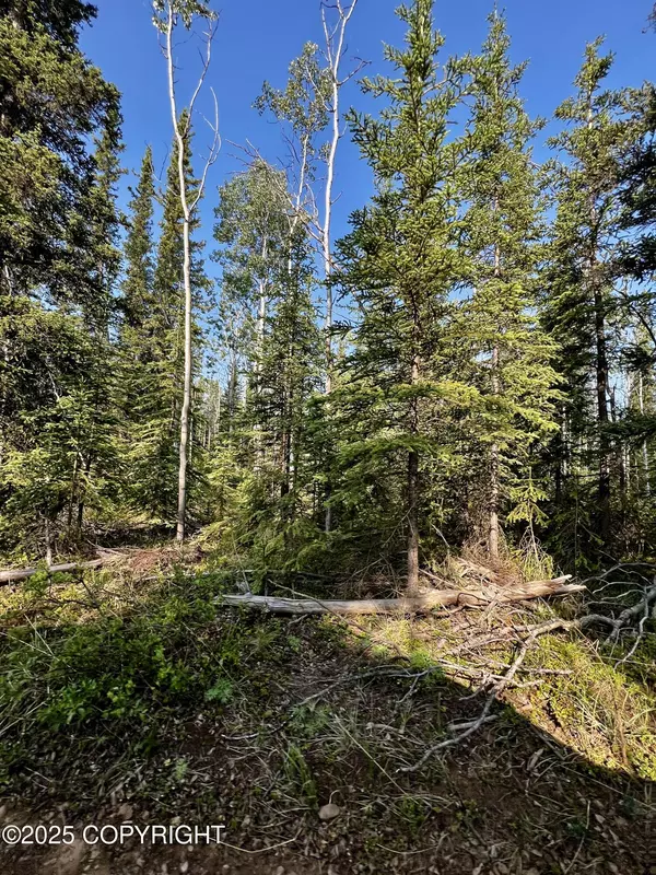 Tok, AK 99780,L2B9 Hanus ST