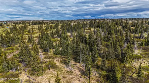 Ninilchik, AK 99639,000 Gravel Pit Trail REM SW