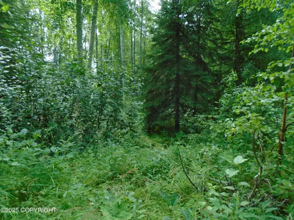 15032 W Necrason DR, Big Lake, AK 99652