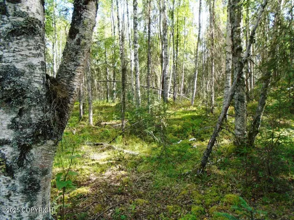 Wasilla, AK 99623,8581 W Skyview DR