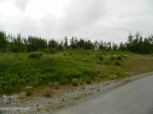 2200 N Hemmer RD, Palmer, AK 99645