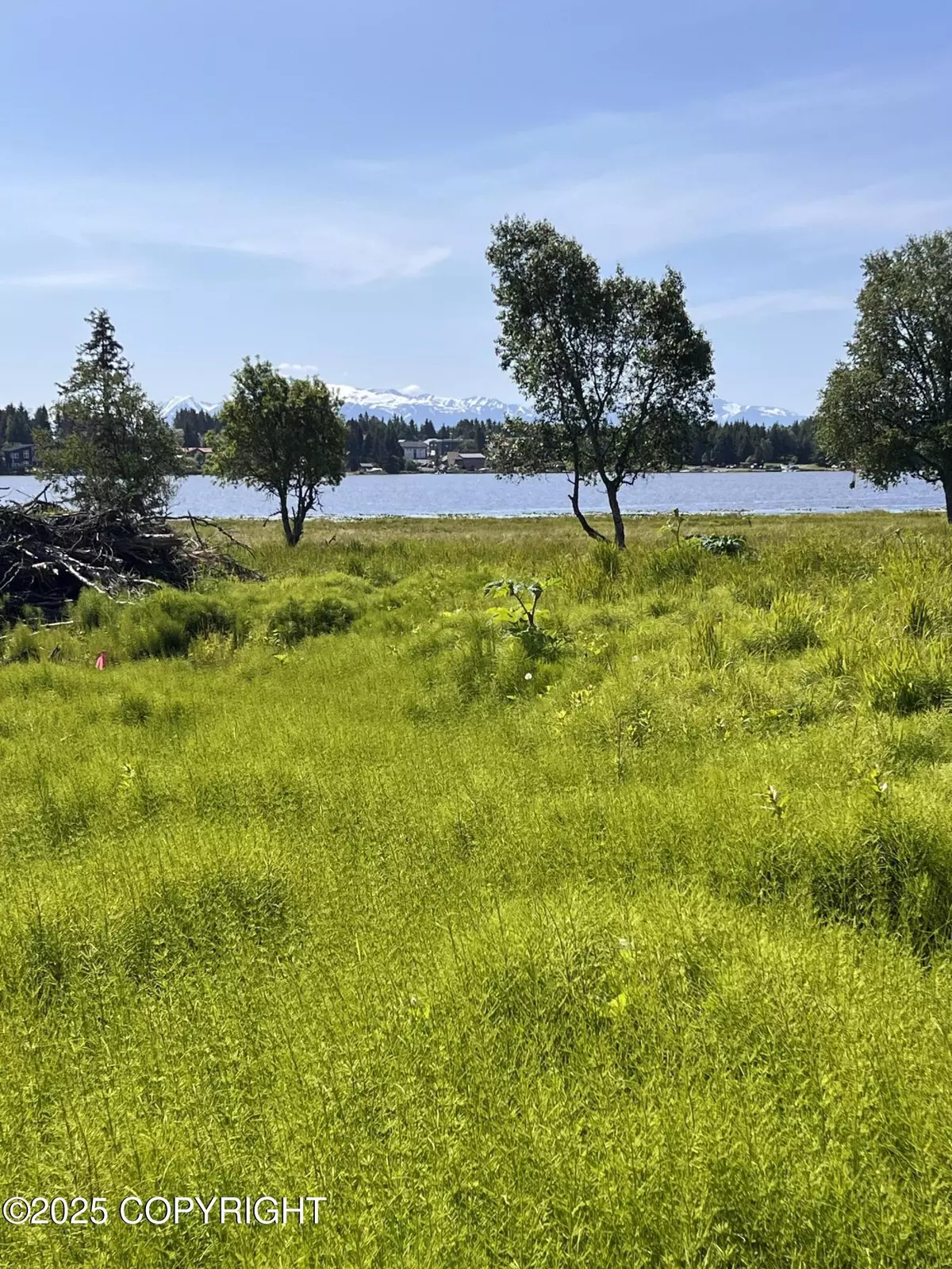 Homer, AK 99603,L45 Dahl WAY