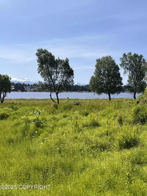 Homer, AK 99603,L45 Dahl WAY