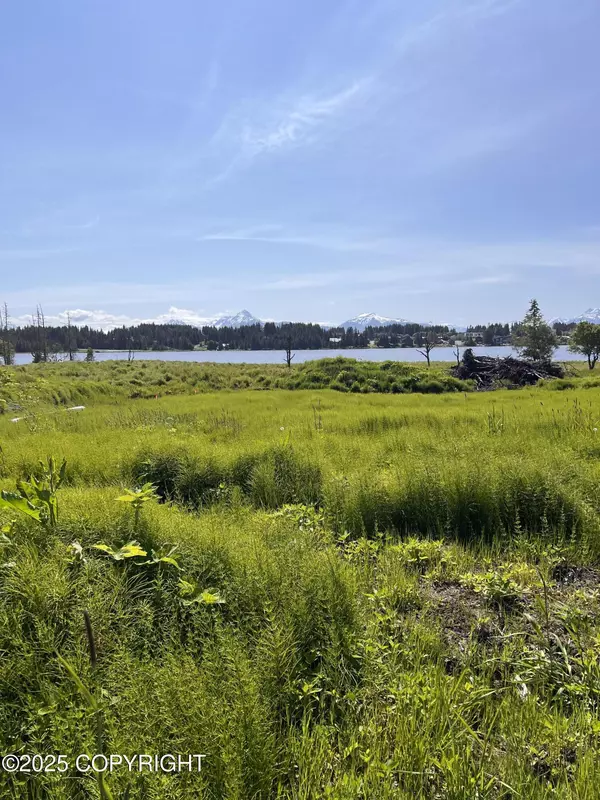 Homer, AK 99603,L45 Dahl WAY