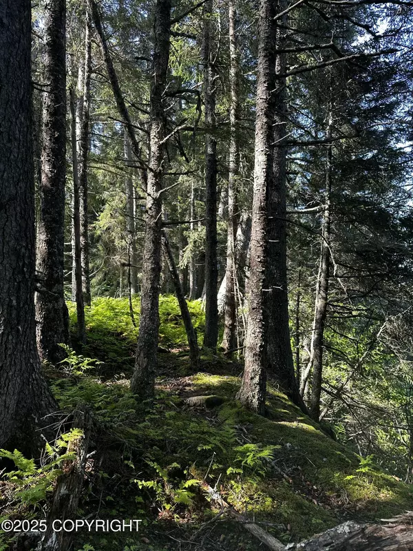 Seldovia, AK 99663,L29 B7 Kashevarof RD