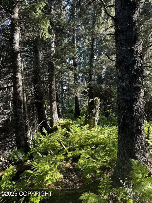 Seldovia, AK 99663,L29 B7 Kashevarof RD