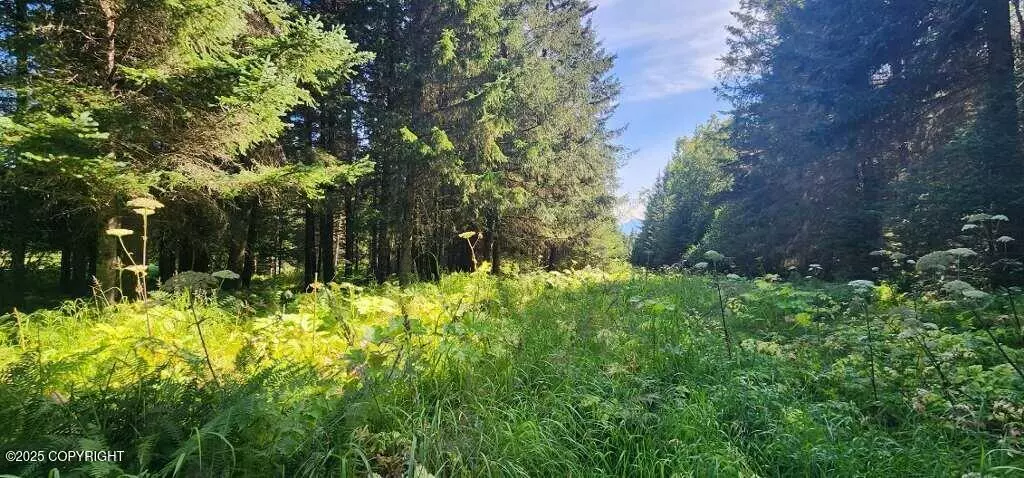 NKA Mallard WAY, Homer, AK 99603