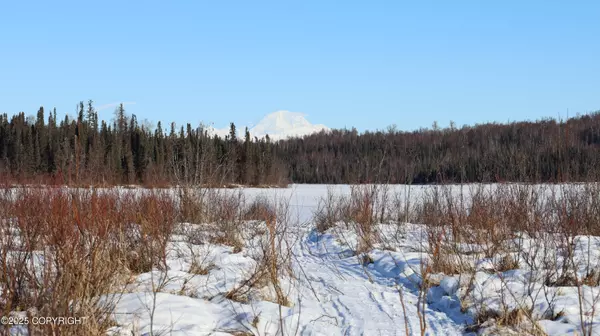 Skwentna, AK 99000,Tr D Fish Lakes Creek